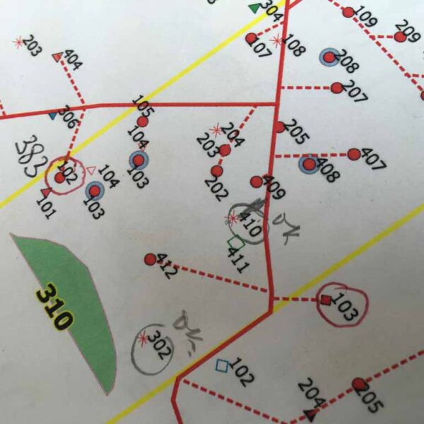 forest-chain